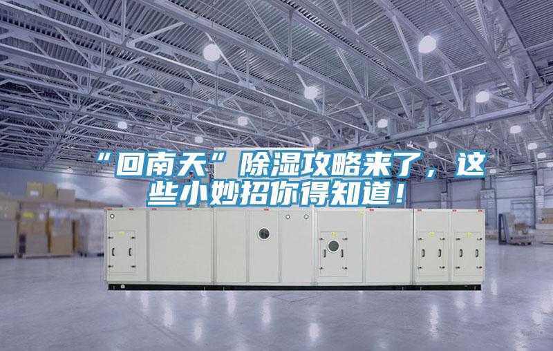 “回南天”除濕攻略來了，這些小妙招你得知道！