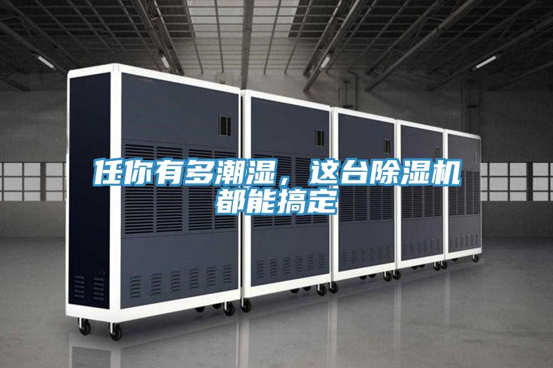 任你有多潮濕，這臺除濕機都能搞定