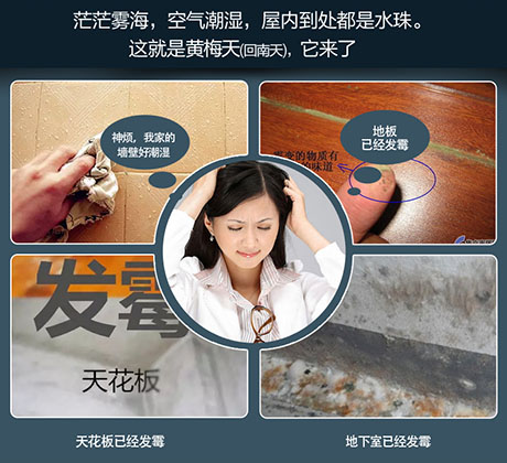 家庭別墅的地下室、衛(wèi)生間、儲(chǔ)物室等該如何除濕?