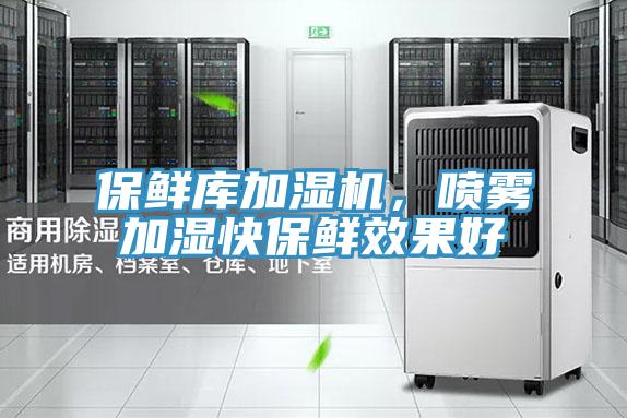 保鮮庫加濕機，噴霧加濕快保鮮效果好