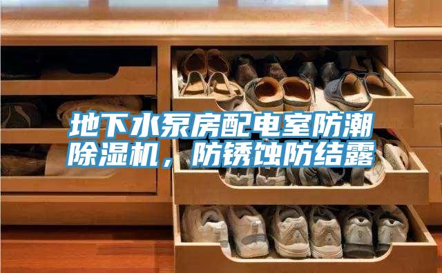 地下水泵房配電室防潮除濕機，防銹蝕防結(jié)露