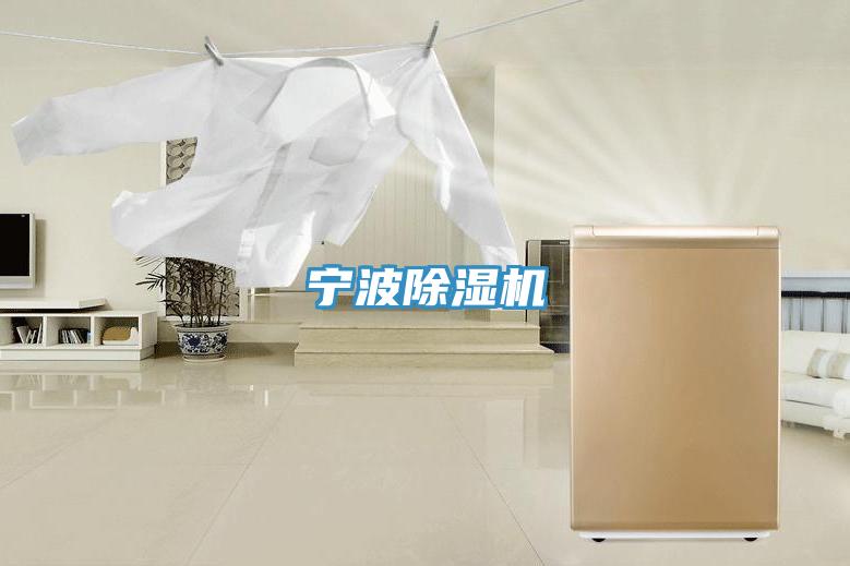 寧波除濕機(jī)