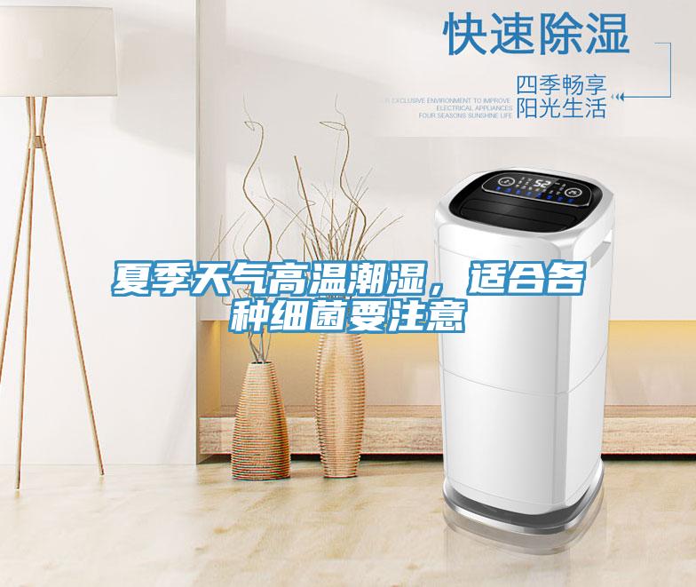 夏季天氣高溫潮濕，適合各種細菌要注意