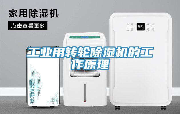 工業用轉輪除濕機的工作原理