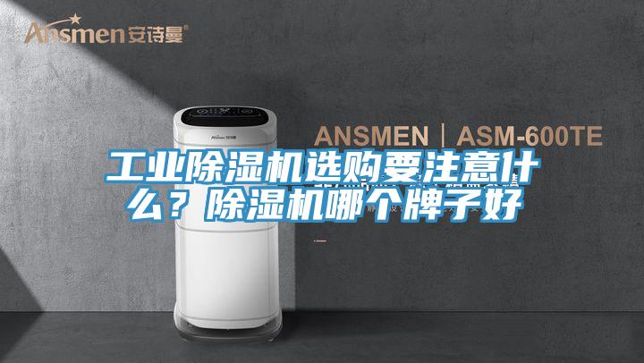 工業除濕機選購要注意什么？除濕機哪個牌子好