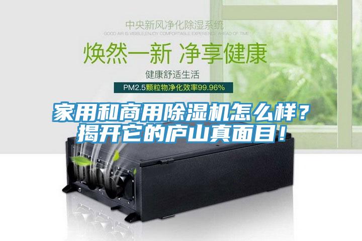 家用和商用除濕機(jī)怎么樣?揭開它的廬山真面目!