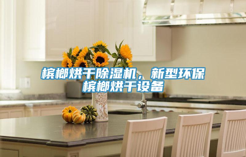檳榔烘干除濕機,新型環保檳榔烘干設備