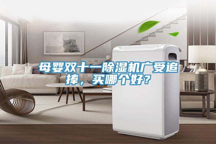 母嬰雙十一除濕機廣受追捧,買哪個好?