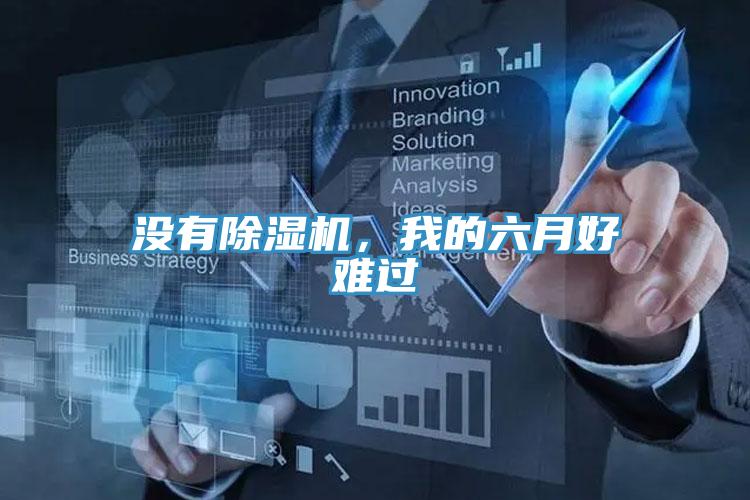 沒有除濕機,我的六月好難過