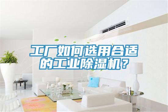 工廠如何選用合適的工業(yè)除濕機？