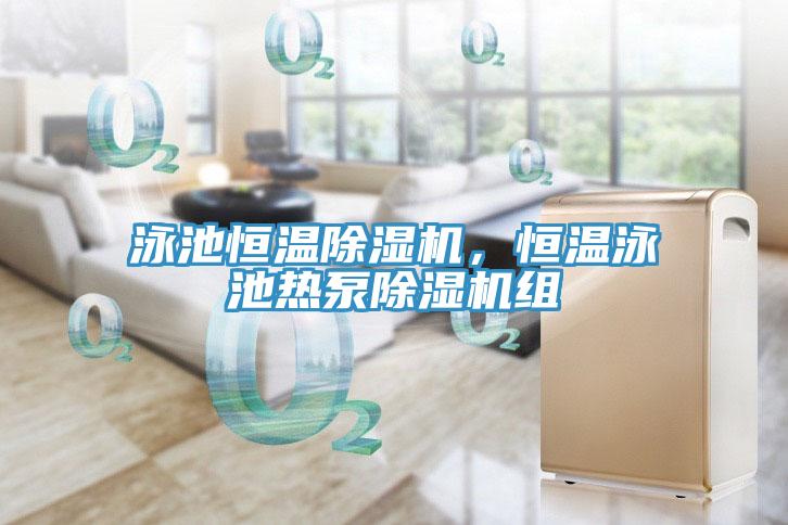 泳池恒溫除濕機(jī),恒溫泳池?zé)岜贸凉駲C(jī)組