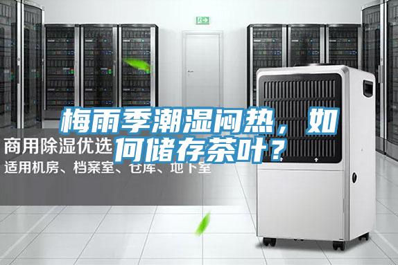 梅雨季潮濕悶熱，如何儲存茶葉？