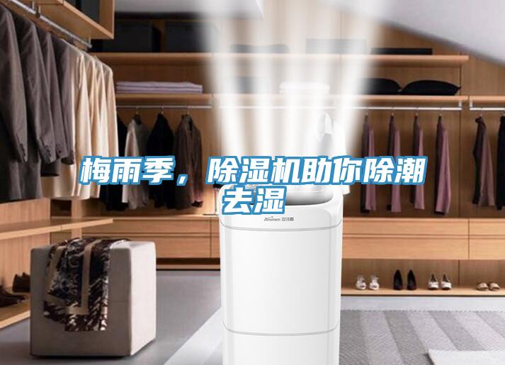 梅雨季,除濕機(jī)助你除潮去濕