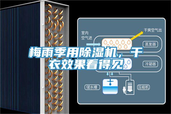 梅雨季用除濕機，干衣效果看得見