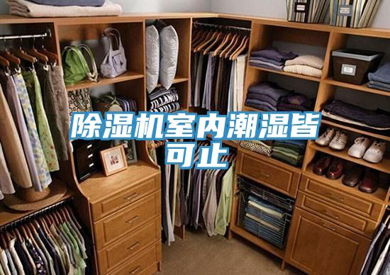 除濕機室內潮濕皆可止