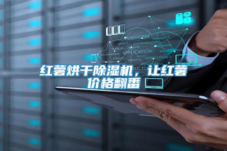 紅薯烘干除濕機(jī),讓紅薯價(jià)格翻番
