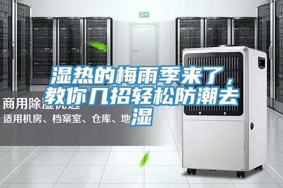 濕熱的梅雨季來(lái)了，教你幾招輕松防潮去濕