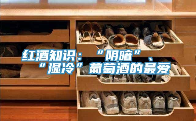 紅酒知識(shí):“陰暗”、“濕冷”葡萄酒的最愛