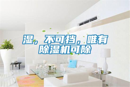 濕，不可擋，唯有除濕機可除