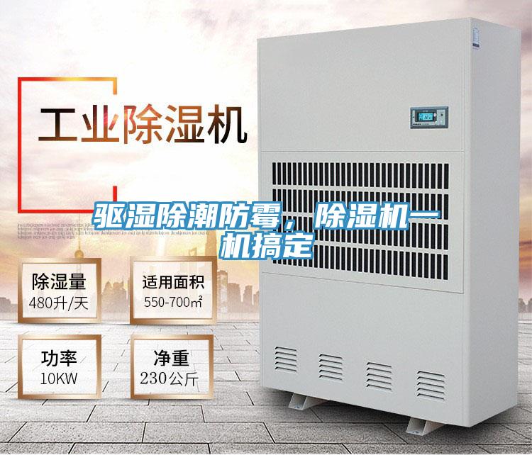 驅濕除潮防霉，除濕機一機搞定