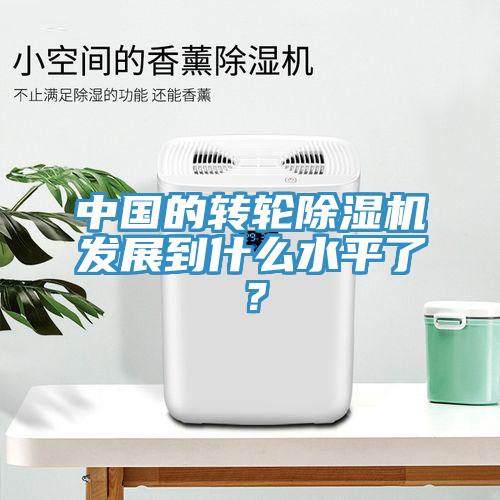 中國的轉(zhuǎn)輪除濕機發(fā)展到什么水平了？