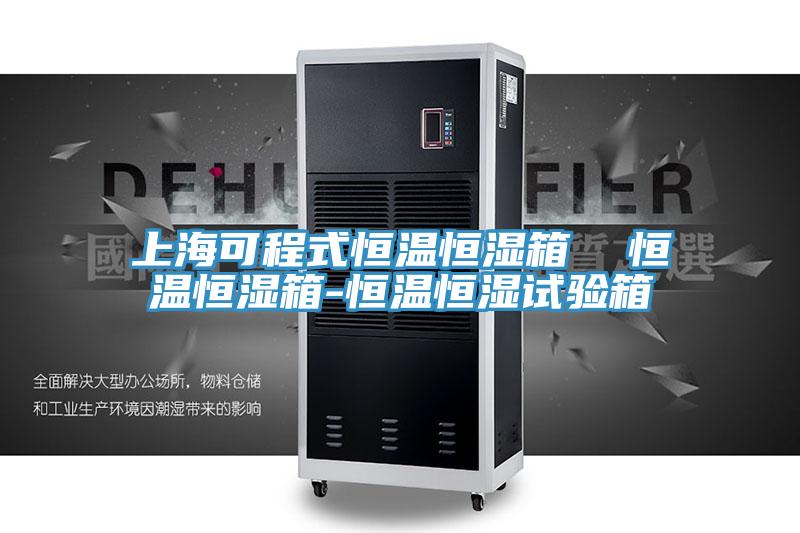 上海可程式恒溫恒濕箱 恒溫恒濕箱-恒溫恒濕試驗(yàn)箱