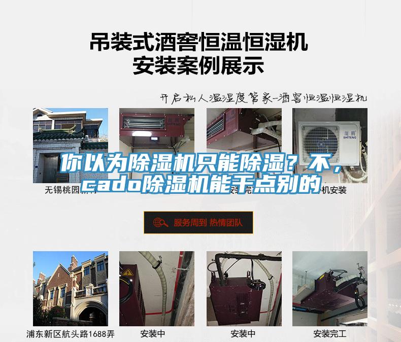 你以為除濕機(jī)只能除濕?不,cado除濕機(jī)能干點(diǎn)別的