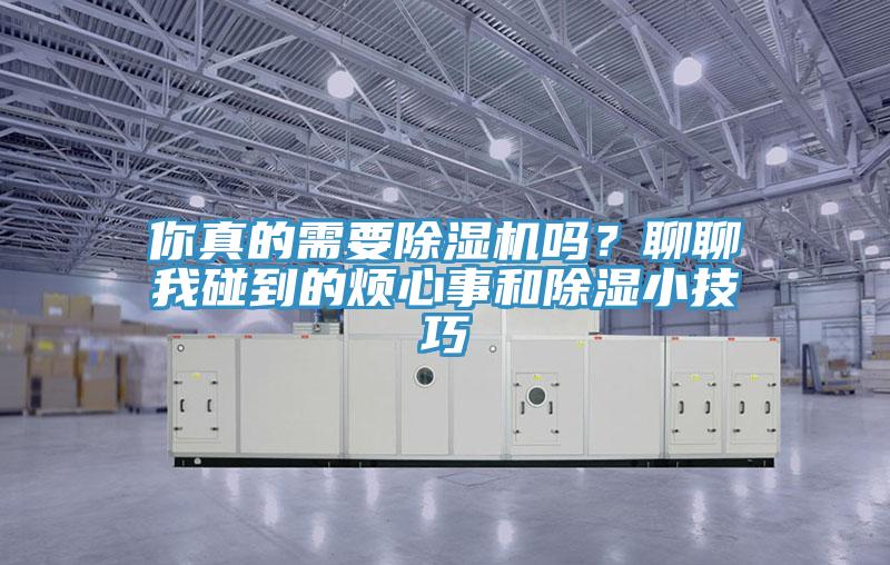 你真的需要除濕機(jī)嗎?聊聊我碰到的煩心事和除濕小技巧
