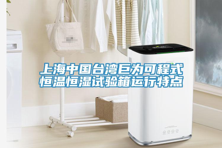 上海中國臺(tái)灣巨為可程式恒溫恒濕試驗(yàn)箱運(yùn)行特點(diǎn)