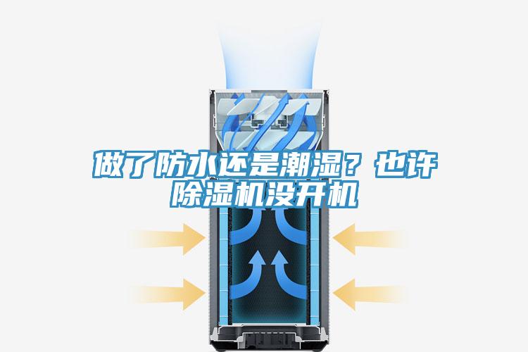 做了防水還是潮濕?也許除濕機沒開機