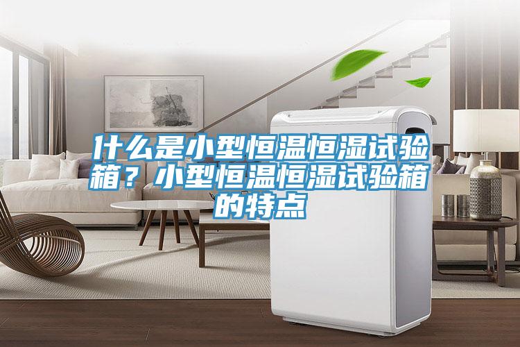 什么是小型恒溫恒濕試驗箱?小型恒溫恒濕試驗箱的特點