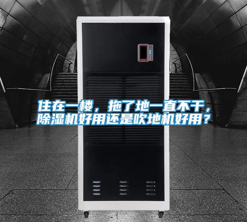 住在一樓,拖了地一直不干,除濕機(jī)好用還是吹地機(jī)好用?