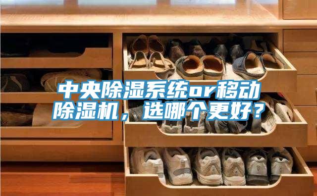 中央除濕系統(tǒng)or移動除濕機(jī)，選哪個更好？