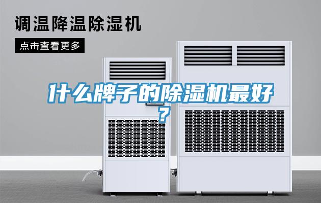 什么牌子的除濕機最好？