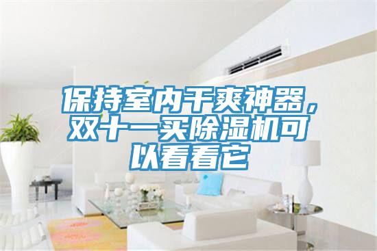 保持室內干爽神器，雙十一買除濕機可以看看它