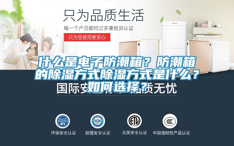 什么是電子防潮箱？防潮箱的除濕方式除濕方式是什么？如何選擇？