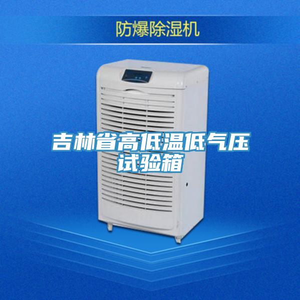 吉林省高低溫低氣壓試驗(yàn)箱