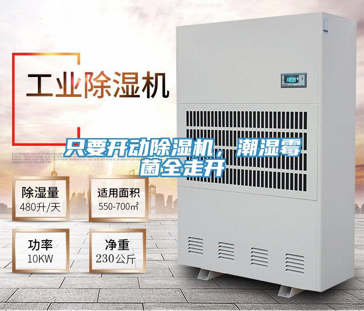 只要開動(dòng)除濕機(jī),潮濕霉菌全走開
