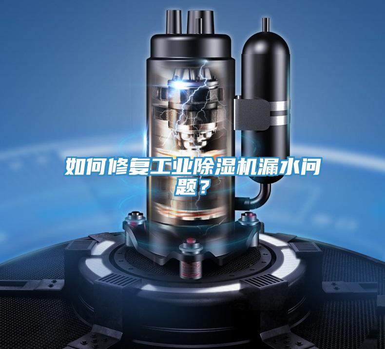 如何修復工業(yè)除濕機漏水問題？