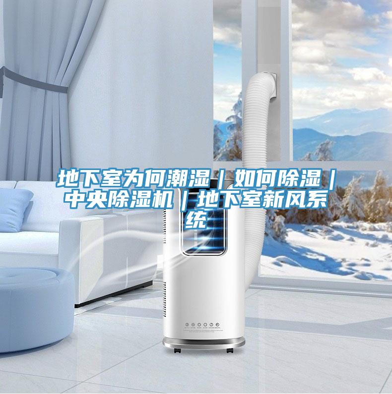 地下室為何潮濕｜如何除濕｜中央除濕機｜地下室新風系統