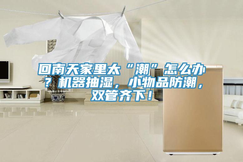 回南天家里太“潮”怎么辦？機器抽濕，小物品防潮，雙管齊下！