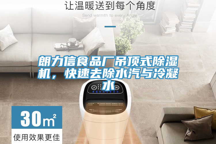 朗力信食品廠吊頂式除濕機,快速去除水汽與冷凝水