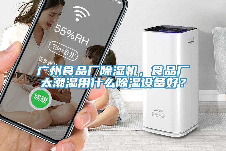 廣州食品廠除濕機,食品廠太潮濕用什么除濕設備好?