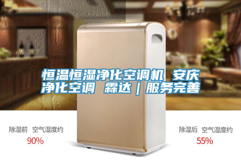 恒溫恒濕凈化空調機 安慶凈化空調 霖達|服務完善