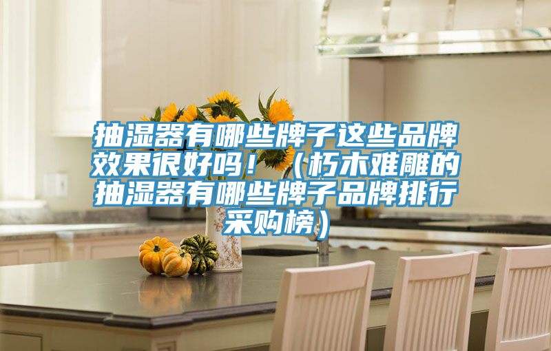 抽濕器有哪些牌子這些品牌效果很好嗎!(朽木難雕的抽濕器有哪些牌子品牌排行采購(gòu)榜)