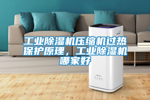 工業除濕機壓縮機過熱保護原理，工業除濕機哪家好
