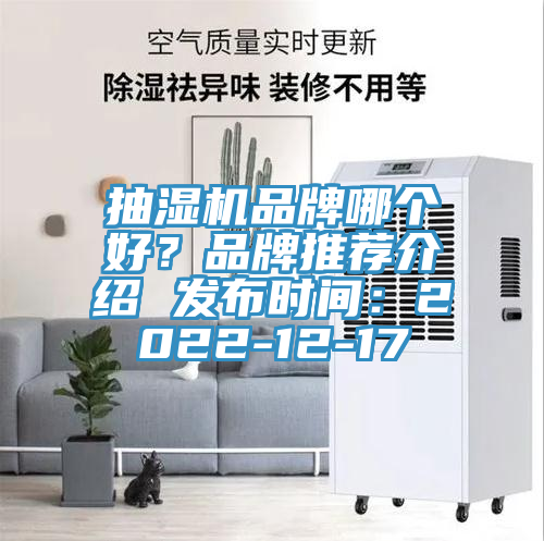 抽濕機品牌哪個好？品牌推薦介紹 發布時間：2022-12-17
