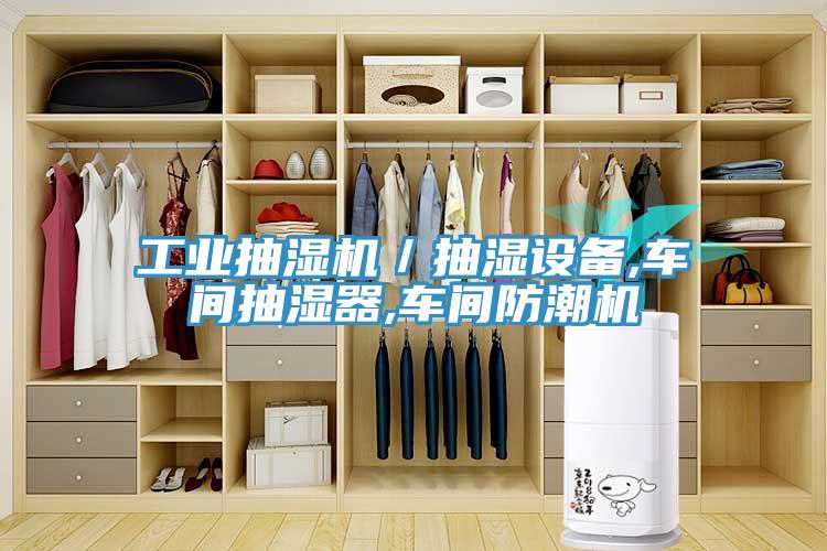 工業(yè)抽濕機/抽濕設備,車間抽濕器,車間防潮機