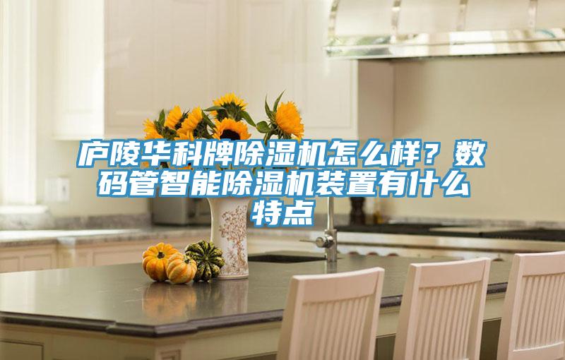 廬陵華科牌除濕機怎么樣?數(shù)碼管智能除濕機裝置有什么特點