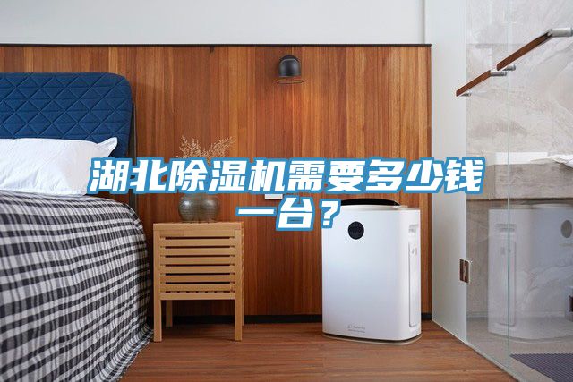 湖北除濕機(jī)需要多少錢一臺？
